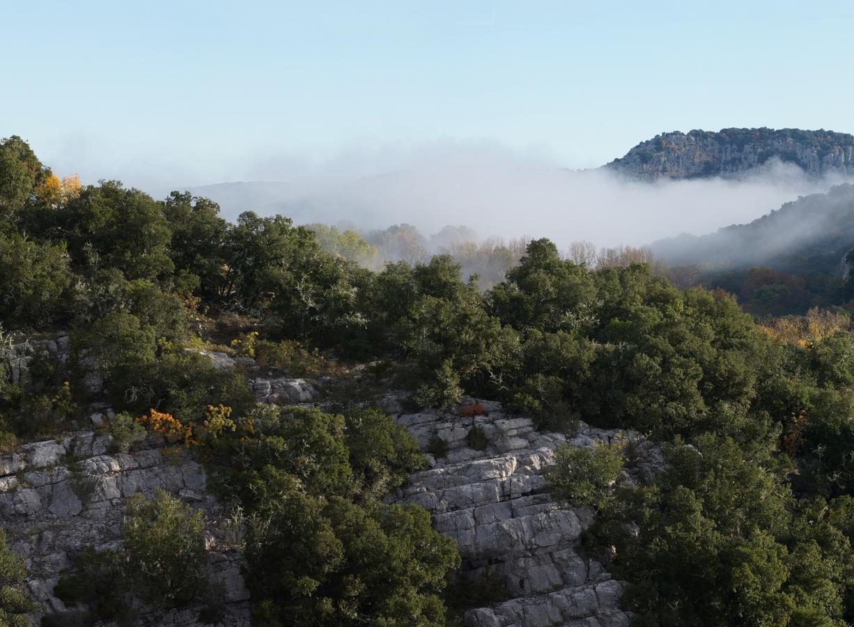 Les Hauts D'Issensac Causse-de-la-Selle Bagian luar foto