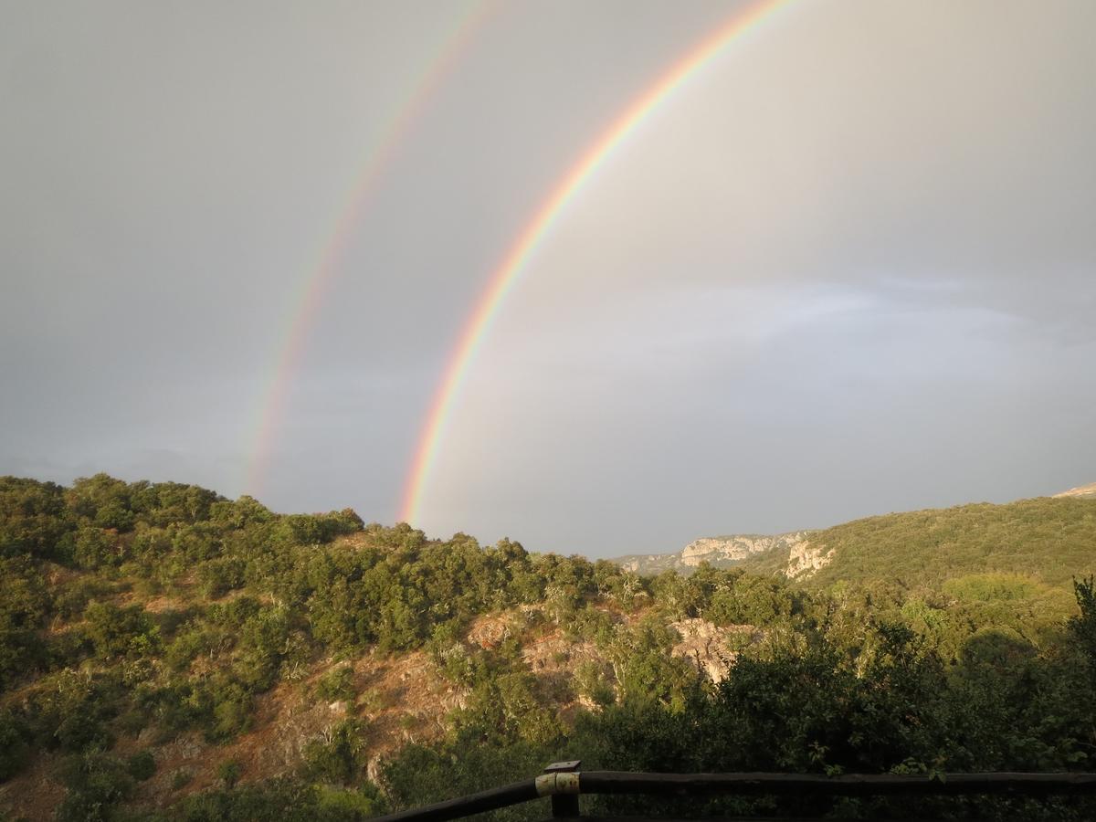 Les Hauts D'Issensac Causse-de-la-Selle Bagian luar foto