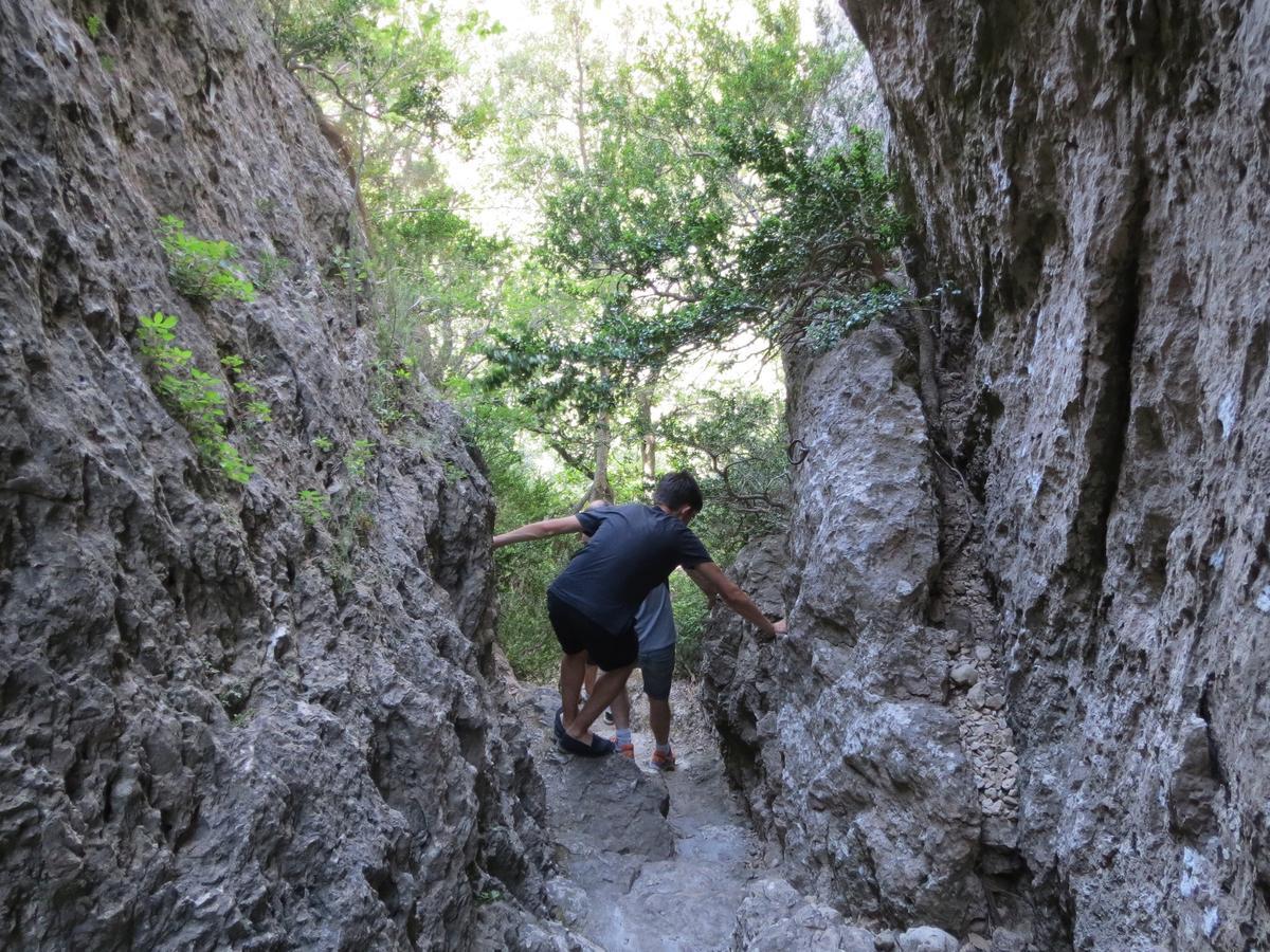 Les Hauts D'Issensac Causse-de-la-Selle Bagian luar foto