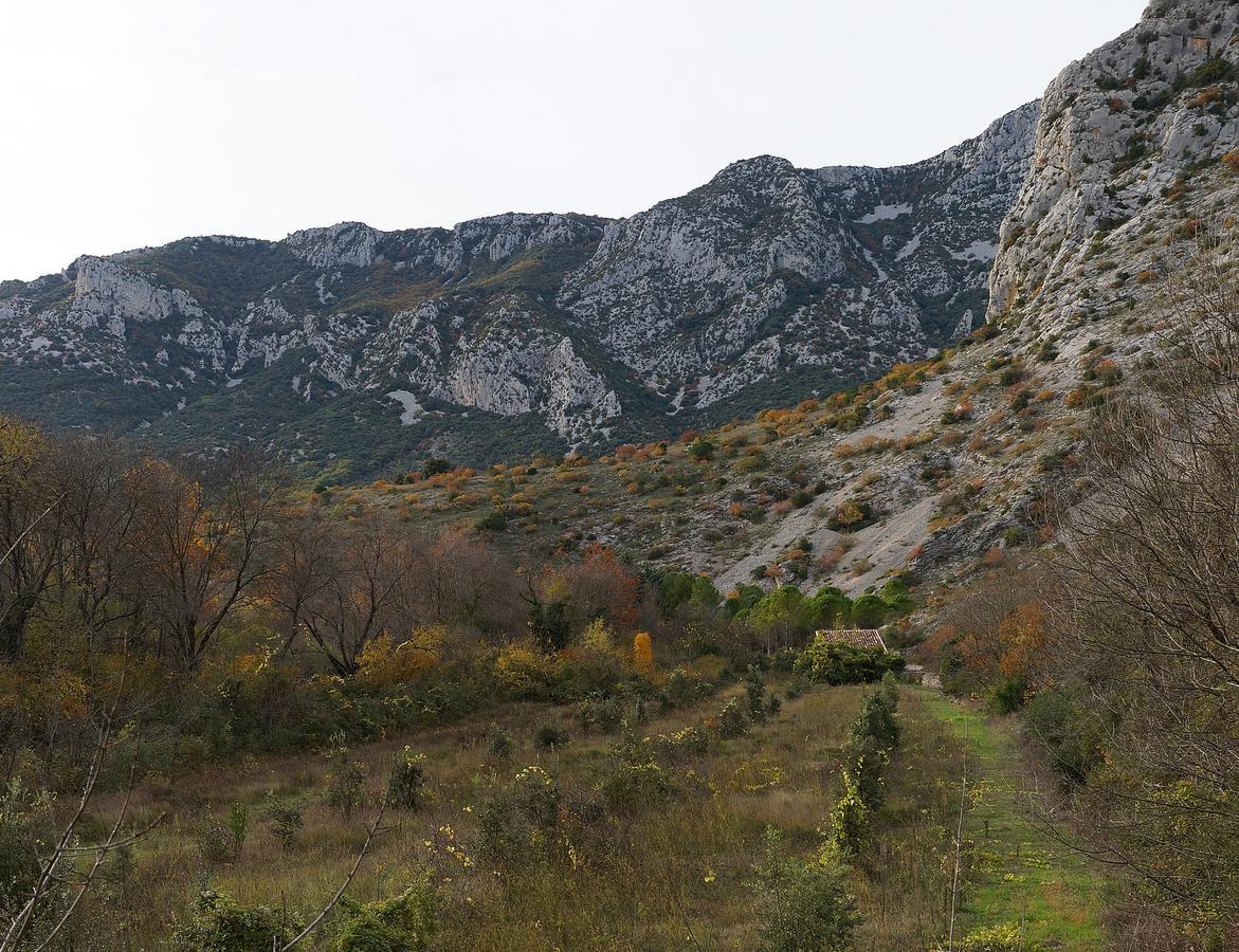 Les Hauts D'Issensac Causse-de-la-Selle Bagian luar foto